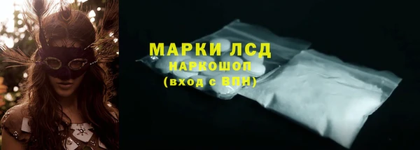 ешки Аркадак