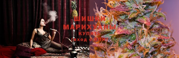 ешки Аркадак