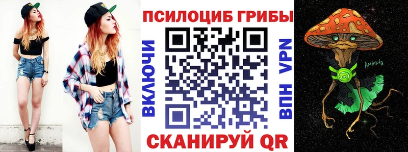 Галлюциногенные грибы Psilocybine cubensis что такое Балтийск